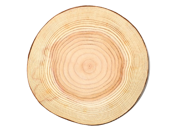 Rondin de bois